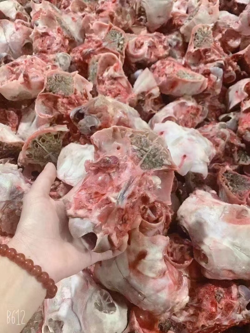 羊脑壳，每天新鲜砍，价格合适。羊汤馆必备