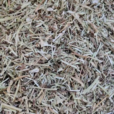 花生秧无土无沙无地膜喂牛羊草料大量上市销售