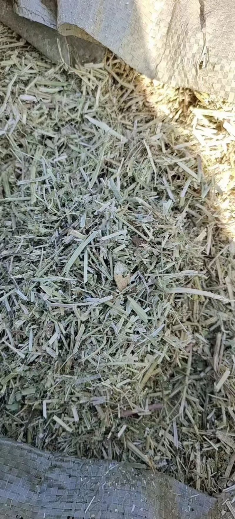 花生秧无土无沙无地膜喂牛羊草料大量上市销售