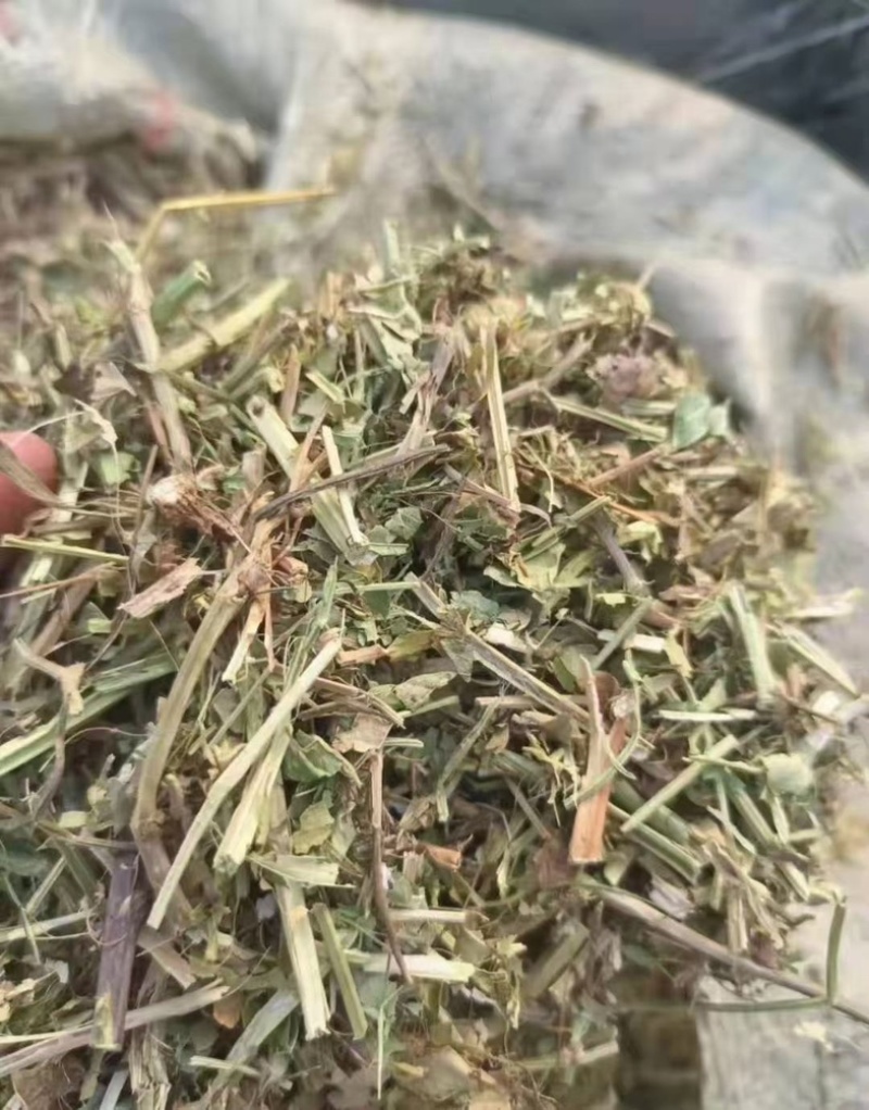 花生秧无土无沙无地膜喂牛羊草料大量上市销售