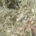花生秧无土无沙无地膜喂牛羊草料大量上市销售