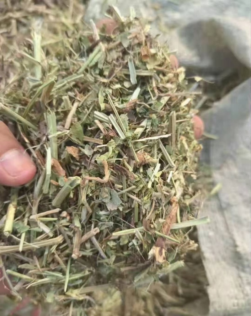 花生秧无土无沙无地膜喂牛羊草料大量上市销售