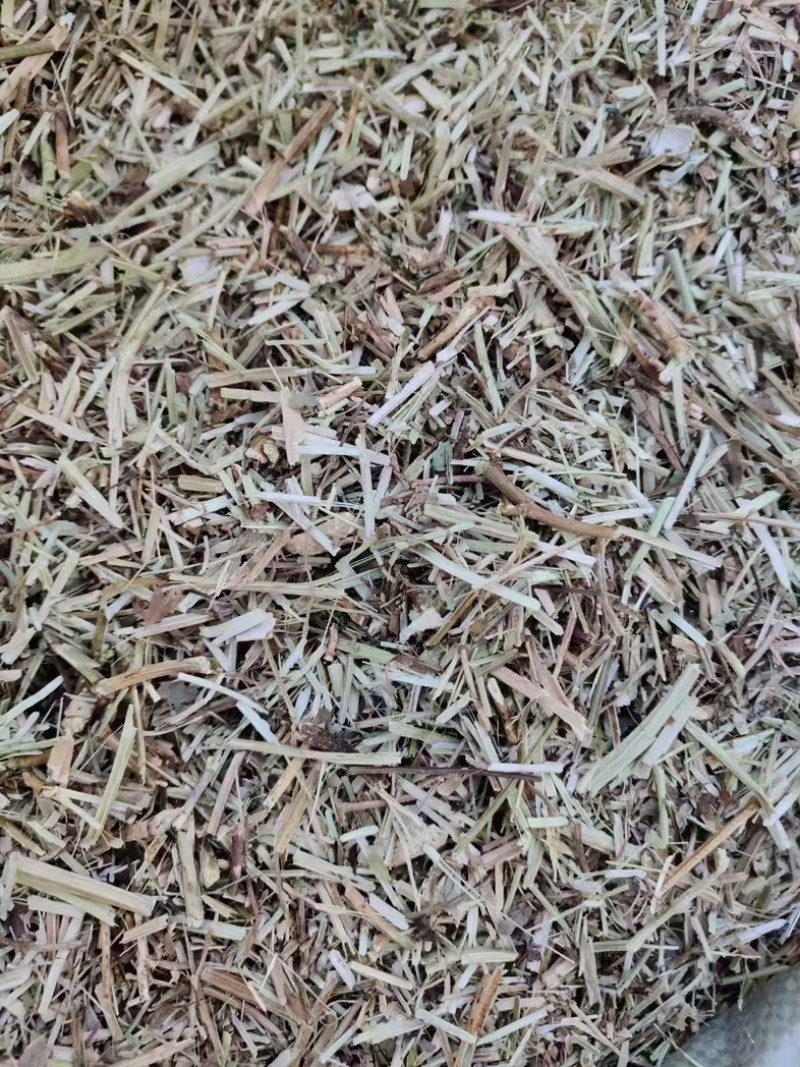 花生秧无土无沙无地膜喂牛羊草料大量上市销售