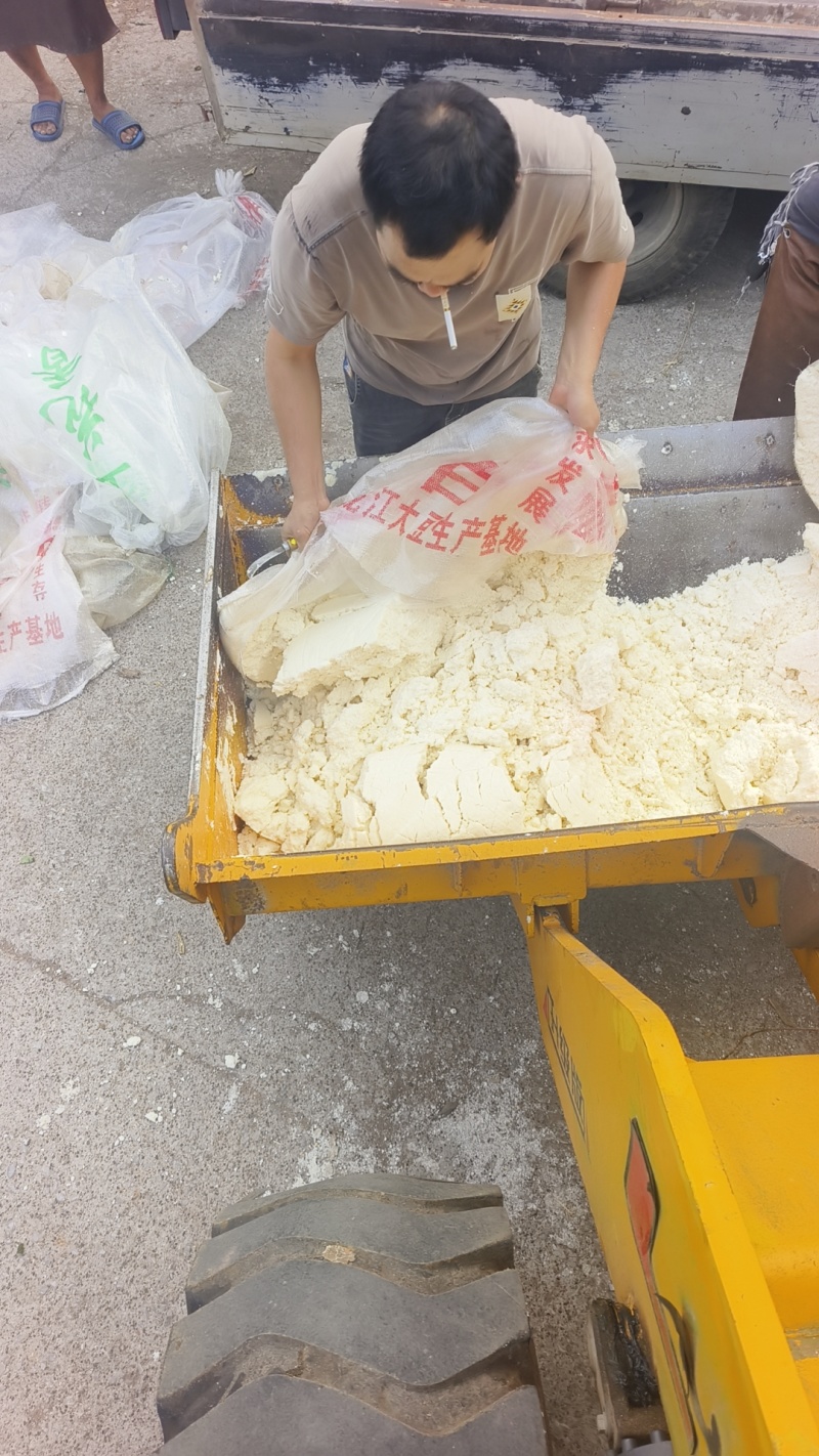 新鲜豆腐渣。