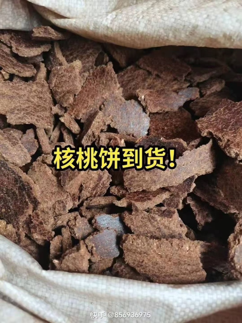 河北厂家大量销售核桃饼养殖通用原料大量上市