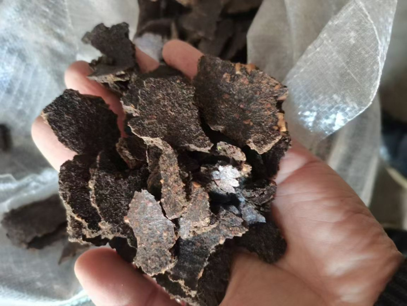 河北厂家大量销售核桃饼养殖通用原料大量上市