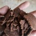 河北厂家大量销售核桃饼养殖通用原料大量上市