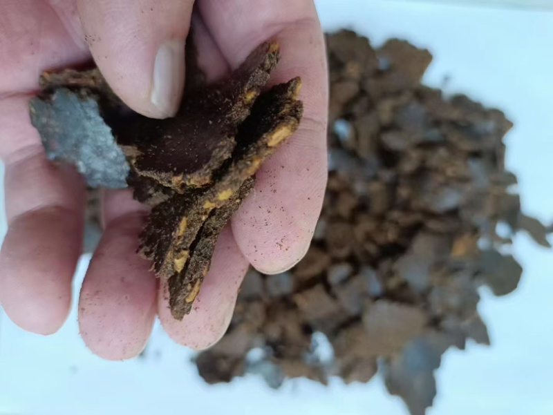 河北厂家大量销售核桃饼养殖通用原料大量上市