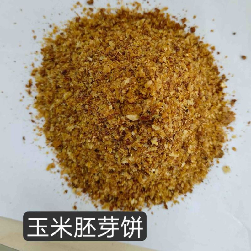 大量供应玉米胚芽饼批发河北厂家直发鸡鸭鹅养殖通用