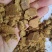 大量供应玉米胚芽饼批发河北厂家直发鸡鸭鹅养殖通用