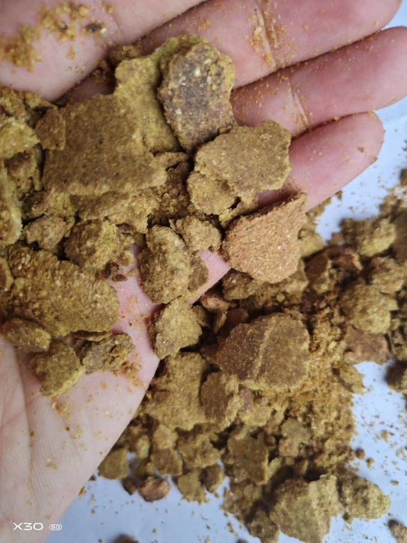 大量供应玉米胚芽饼批发河北厂家直发鸡鸭鹅养殖通用