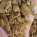 大量供应玉米胚芽饼批发河北厂家直发鸡鸭鹅养殖通用