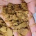 大量供应玉米胚芽饼批发河北厂家直发鸡鸭鹅养殖通用