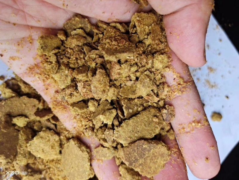大量供应玉米胚芽饼批发河北厂家直发鸡鸭鹅养殖通用