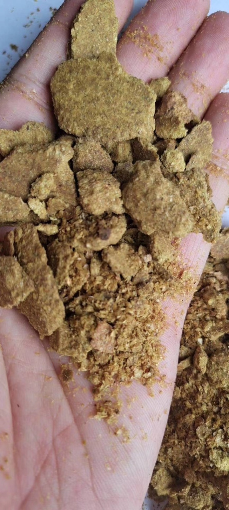 大量供应玉米胚芽饼批发河北厂家直发鸡鸭鹅养殖通用