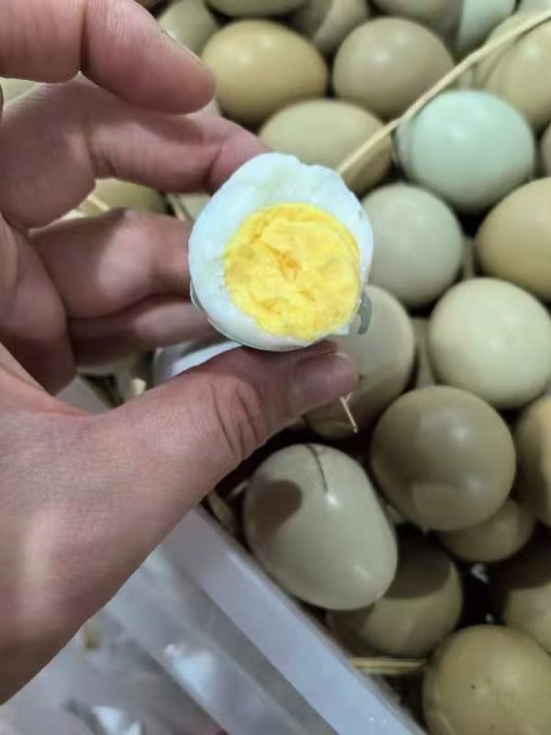 山东济南七彩山鸡蛋批发大量供应，保质保量，量大从优。