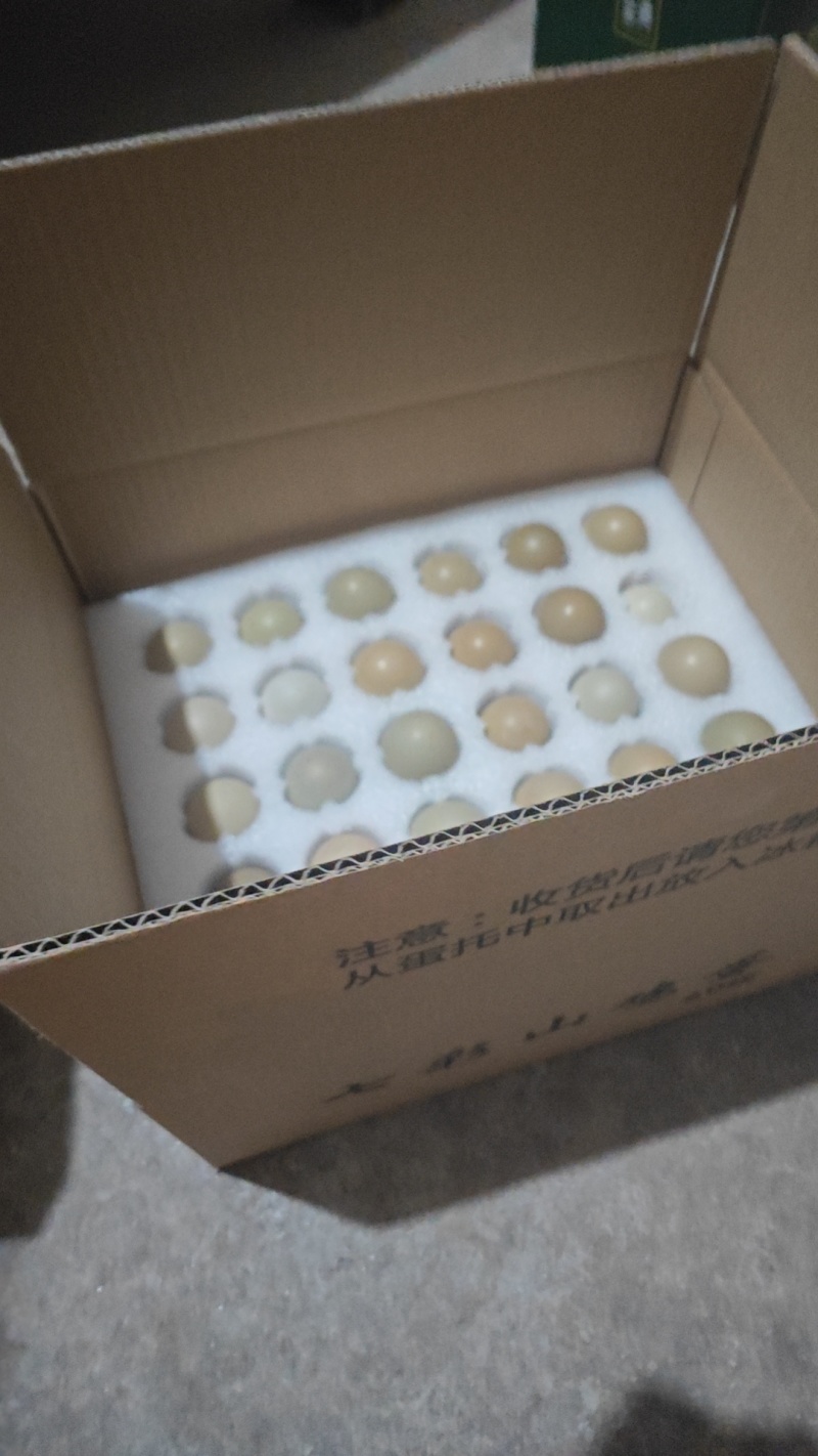 山东济南七彩山鸡蛋批发大量供应，保质保量，量大从优。