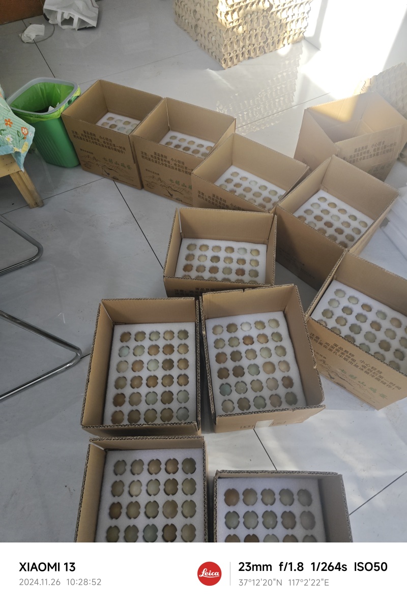 山东济南七彩山鸡蛋批发大量供应，保质保量，量大从优。