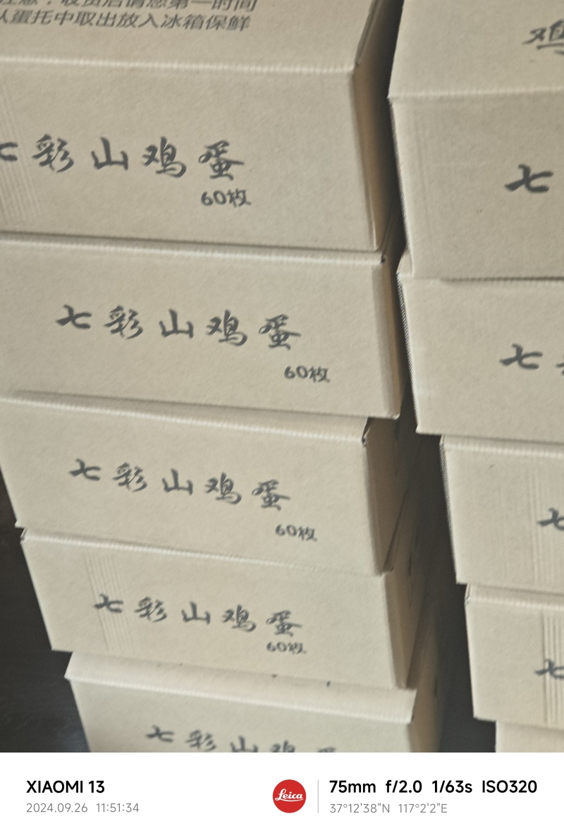 山东济南七彩山鸡蛋批发大量供应，保质保量，量大从优。
