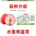 百万棵桃树苗千亩苗圃基地自繁自育包品种包结桃