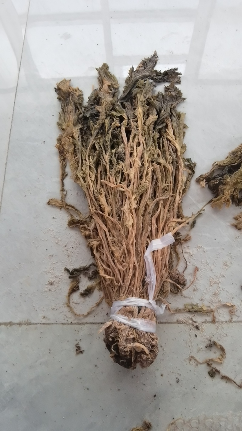 整颗梅干菜，色黄，味香，根小，大量有货，随时发货，