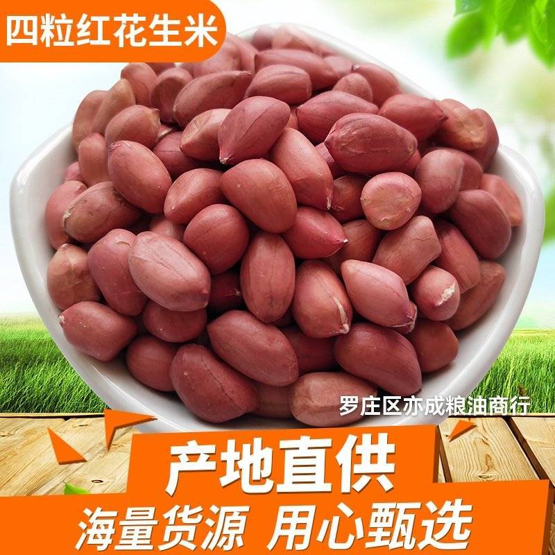 四粒红花生米批发东北四粒红新货花生花生米颗粒饱满新鲜