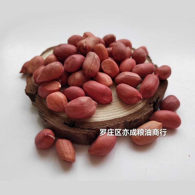 四粒红花生米批发东北四粒红新货花生花生米颗粒饱满新鲜