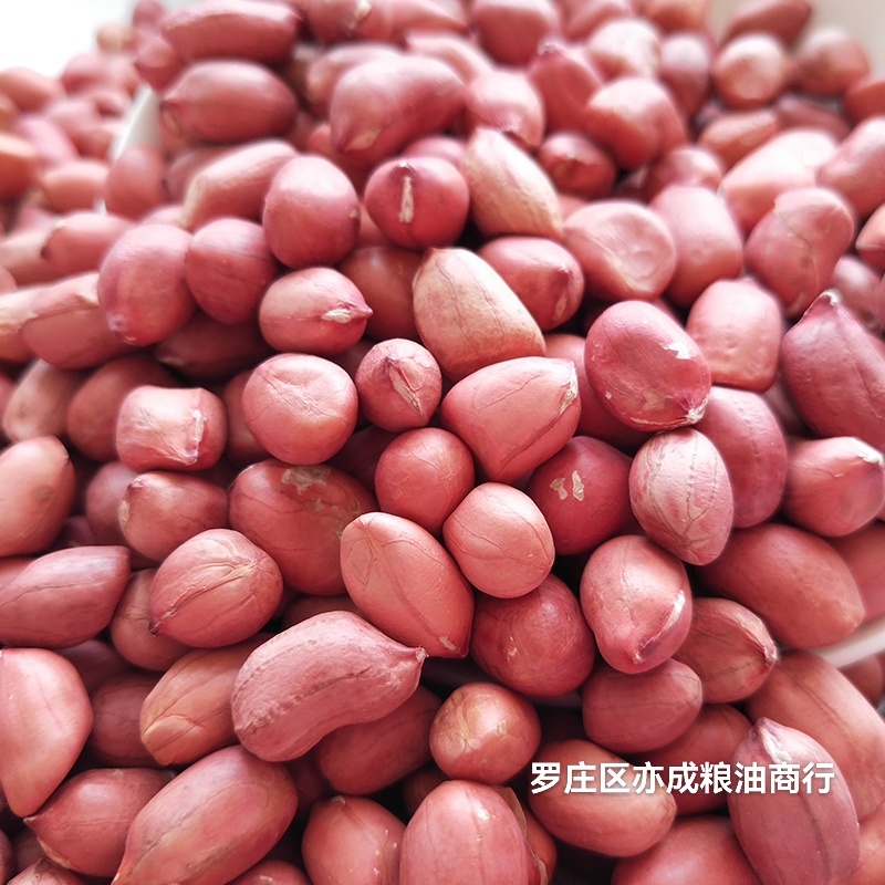 四粒红花生米批发东北四粒红新货花生花生米颗粒饱满新鲜
