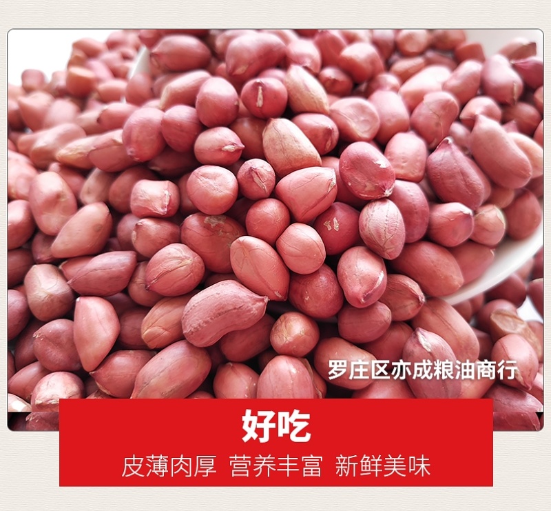 四粒红花生米批发东北四粒红新货花生花生米颗粒饱满新鲜