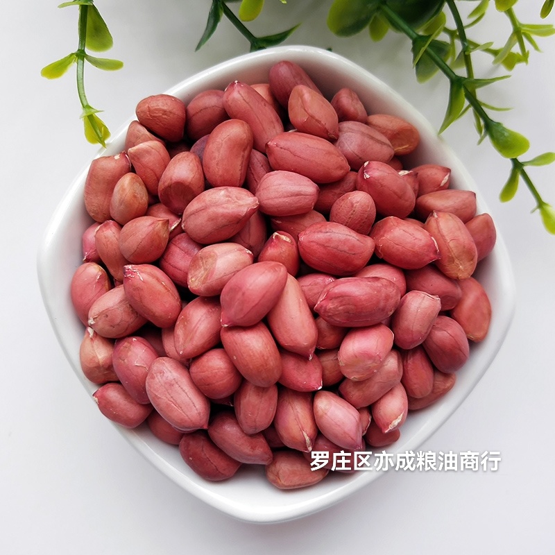 四粒红花生米批发东北四粒红新货花生花生米颗粒饱满新鲜