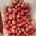 四粒红花生米批发东北四粒红新货花生花生米颗粒饱满新鲜