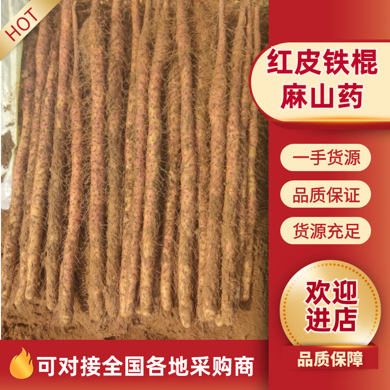 红皮铁棍麻山药大量供应口感面甜营养高