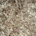 2025新花生秧过滚筒塞加工保质保量无土无膜无