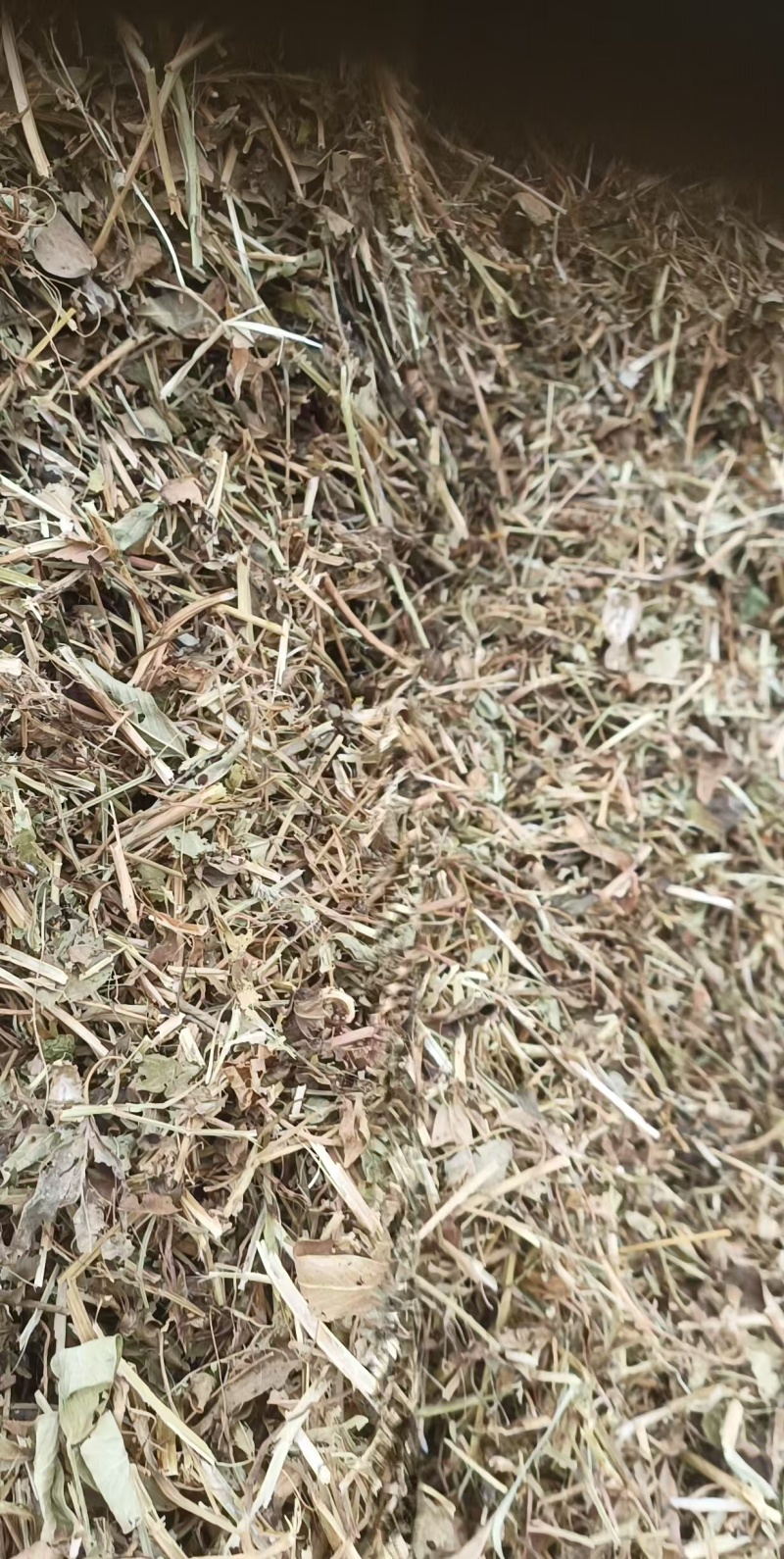 2025新花生秧过滚筒塞加工保质保量无土无膜无