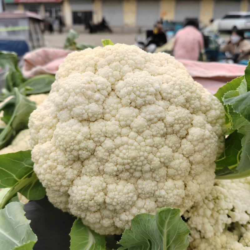 有机花菜