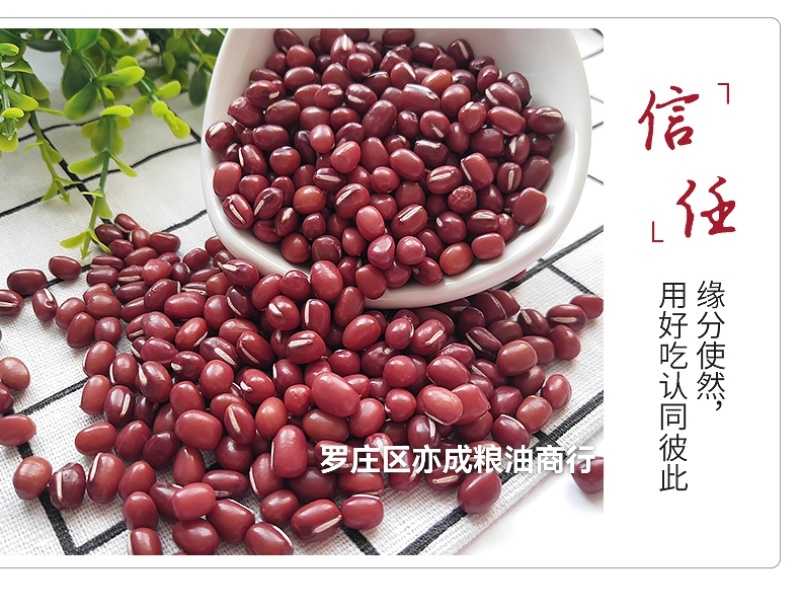 东北大粒红豆批发山西红小豆颗粒饱满量大从优