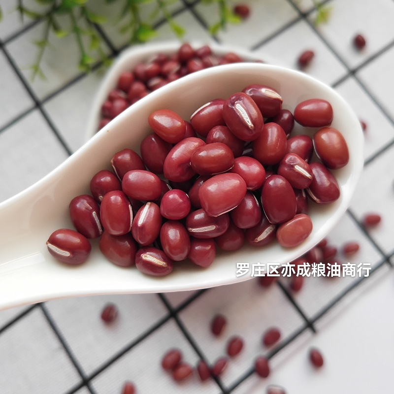 东北大粒红豆批发山西红小豆颗粒饱满量大从优