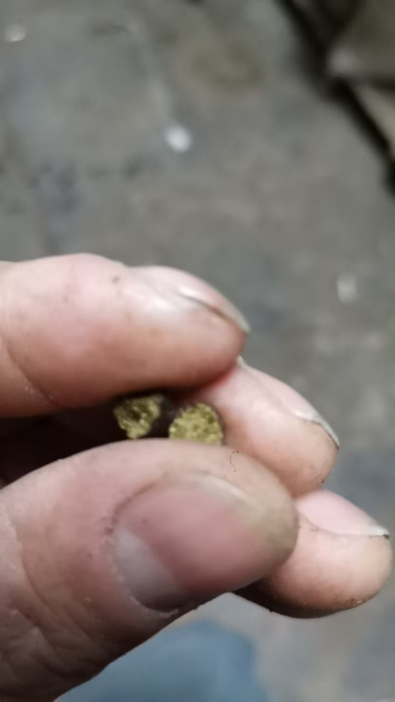 五灵脂纯货大粒选货中药材用散装量大从优