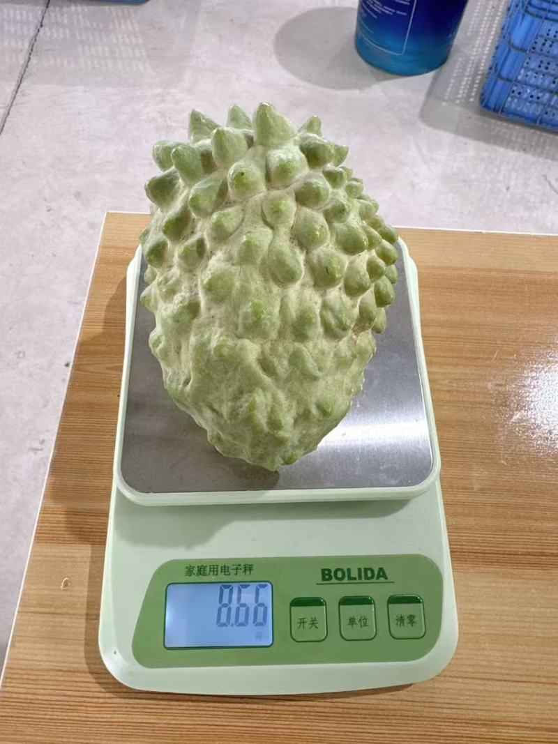 凤梨释伽