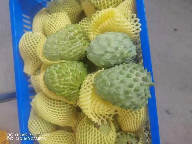 凤梨释伽
