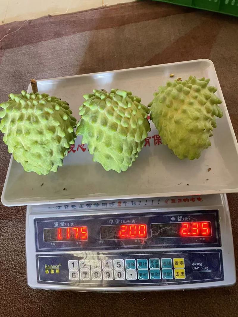 凤梨释伽