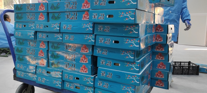 天然晒制的柿饼