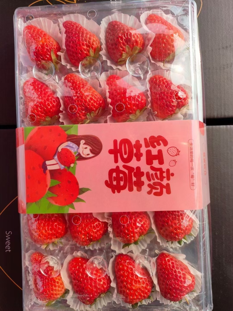 辽宁丹东红颜九九草莓产地直可谈价格一手货源来电详谈