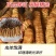 那曲比如冬虫夏草，送礼必备，规格齐全，欢迎老板来电洽谈