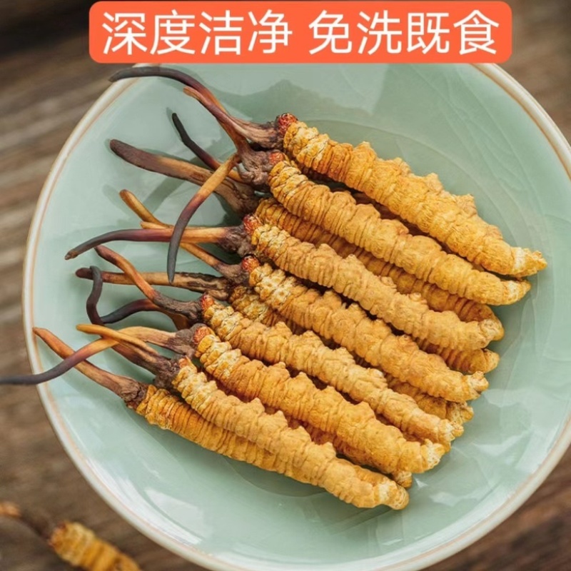 那曲比如冬虫夏草，送礼必备，规格齐全，欢迎老板来电洽谈