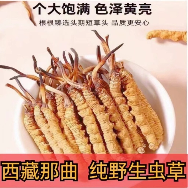 那曲比如冬虫夏草，送礼必备，规格齐全，欢迎老板来电洽谈