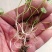 猫爪草种苗，家种驯化苗，定根性强，带播种方法。