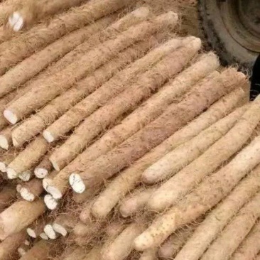 （白玉山药）大量供应，对接全国市场电商超市，货源充足