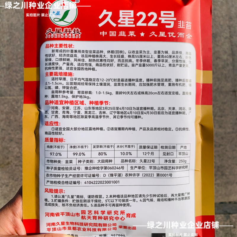 久星22号韭苔种子四季苔韭种子韭菜苔种籽叶苔兼用韭菜种子
