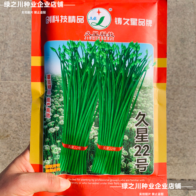 久星22号韭苔种子四季苔韭种子韭菜苔种籽叶苔兼用韭菜种子